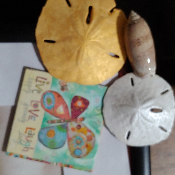 Meet your Posher, Leslie - Picture 2 of 2